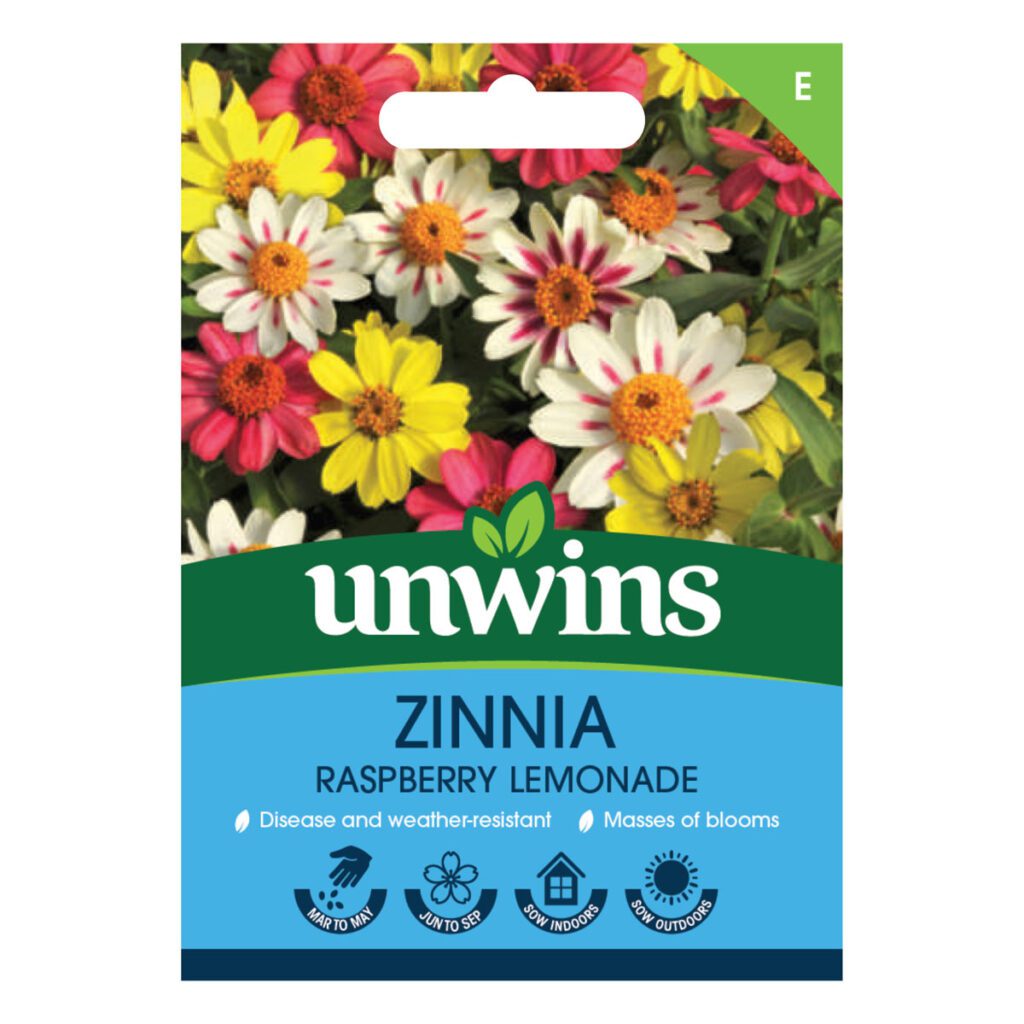 Unwins Zinnia Raspberry Lemonade Seeds 5051618031066 2